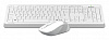 Клавиатура + мышь A4Tech Fstyler FG1010S клав:белый/серый мышь:белый/серый USB беспроводная Multimedia (FG1010S WHITE)