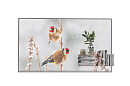 Профессиональный прозрачный OLED дисплей LG [55EW5P-M] 1920х1080,200000:1,600кд/м2,webOS 7.5