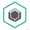 Лицензия для ИП Гонежук Эдуард Заурбиевич [KL4867RARFS-125шт]