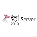 228-11574 SQL Server 2019 Standard 2 CoreLic OnlyDwnLd C2R NR (ESD)