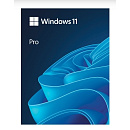 Microsoft Windows 11 Professional 64-bit English Int 1pk DSP OEI DVD лицензия с COA и носителем информации (FQC-10528)