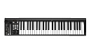 MIDI клавиатура [110105A2025] Icon [iKeyboard 5S] встроенный аудиоинтерфейс 24 бит/192 кГц, 49 полувзвешенных клавиш фортепианного типа, XLR микр. вхо