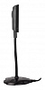 Камера Web A4Tech PK-810G черный 0.3Mpix (640x480) USB2.0 с микрофоном