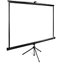 Экран Cactus TriExpert CS-PSTE-220x220-BK 220x220 см 1:1 напольный рулонный