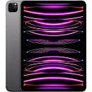 Apple iPad Pro 11-inch 2022 WiFi + Cellular 128GB - Space Black [MP553LL/A] (A2435)