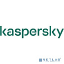 KL4863RANDS Kaspersky Endpoint Security для бизнеса – Стандартный 20-24 Node 2 year Base License