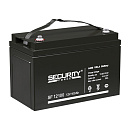Аккумуляторная батарея Secuirity Force SF 12100 Bad Pack
