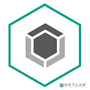 KL4863RANFR Kaspersky Endpoint Security для бизнеса – Стандартный 20-24 users Renewal License