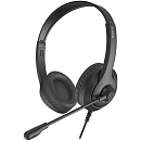 A4Tech Fstyler FH100 черный 2м накладные оголовье (FH100 (STONE BLACK))