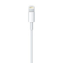 Apple Lightning to USB cable (0.5 m) [ME291ZM/A]