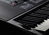 Синтезатор Casio CT-X3000 61клав. черный
