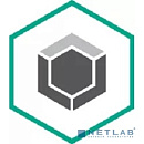 KL4867RARFW Kaspersky Endpoint Security для бизнеса – Расширенный Russian Edition. 100-149 Node 1 year Cross-grade License - Лицензия