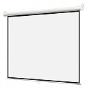 Экран 220x220см Digis Optimal-B DSOB-1105 1:1 настенно-потолочный рулонный