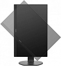 Монитор Philips 23.8" 241B7QGJEB черный IPS LED 16:9 DVI HDMI M/M HAS Pivot 250cd 178гр/178гр 1920x1080 D-Sub DisplayPort FHD USB 5.93кг