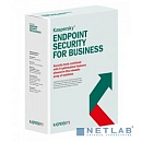KL4863RAKDS Kaspersky Endpoint Security для бизнеса – Стандартный 10-14 Users Base License 2 year