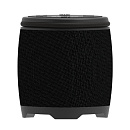 RITMIX SP-310B black