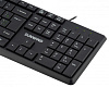Клавиатура SunWind SW-KB100 черный USB