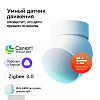 Умный датчик движения Sber SBDV-00029