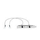 Планка с двумя PS/2 разъёмами для монтажа в корпус.