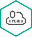 Kaspersky Security для виртуальных и облачных сред – Enterprise Edition, Server Russian Edition. 1 month Successive Plus License - Лицензия