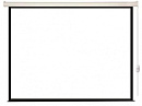 Экран Lumien 153x203см Eco Control LEC-100106 4:3 настенно-потолочный рулонный (моторизованный привод)