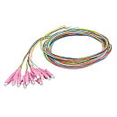 EUROLAN 42B-40-LC-12-01 Комплект оптических монтажных шнуров (pigtail) 12 ? 50/125, OM4, LC, 1 м, цветные