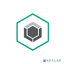 KL4867RAUDR Kaspersky Endpoint Security для бизнеса – Расширенный Russian Edition. 500-999 Node 2 year Renewal License