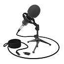 RITMIX RDM-160 Black {конденсаторный}