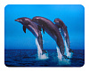 Коврик для мыши Buro BU-M40083 Мини рисунок/дельфины 230x180x2мм