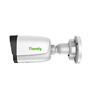 Tiandy TC-C35WS I5/E/Y/2.8mm(4mm)/V4.0 1/2.8" CMOS, F1.6, Фикс.обьектив., 120dB, 50m ИК, 0.002Люкс, 2592x1944@20fps, 512 GB SD card спот, микрофон, кн