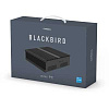 Rombica Blackbird i5 H610482D [PCMI-0213] {i5-10400/8Gb/256Gb SSD/UHD G630/DOS}