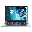 Machenike L16 Pro Nova [JJ00GJ00ERU] Grey 16'' {WQUXGA (3840x2400) i9-13900HX/32GB/2TB SSD/RTX4080 12GB/W11Pro}