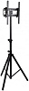 Подставка для телевизора Arm Media TR-STAND-1 черный 26"-55" макс.35кг напольный фиксированный