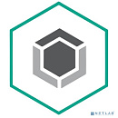 KL4863RAPFE Kaspersky Endpoint Security для бизнеса – Стандартный 25-49 users Educational License