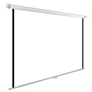 Экран Cactus 240x240см WallExpert CS-PSWE-240x240-WT 1:1 настенно-потолочный рулонный