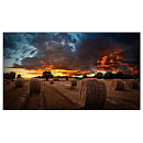 Панель Samsung 55" VM55T-E черный D-LED DID LED 8ms 16:9 DVI HDMI 1200:1 500cd 178гр/178гр 1920x1080 DisplayPort USB 21кг (RUS)