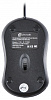 Мышь Оклик 115S черный оптическая (1200dpi) USB для ноутбука (3but)