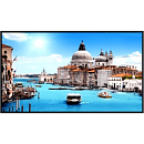 Монитор Dahua 49" LM49-S200 ADS LED 16:9 1920x1080 8ms 1200:1 380cd 178/178 D-Sub DVI HDMI*2 USB-hub RS232(RJ45) Speakers 1.5W*2 60Hz 24/7 ready VESA