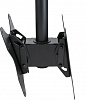 Кронштейн для телевизора Arm Media LCD-1650 черный 15"-48" макс.90кг потолочный поворот и наклон