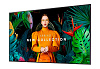ЖК-панель Samsung QH55C 55"