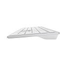 Клавиатура A4Tech Fstyler FX50 белый USB slim Multimedia (FX50 WHITE)