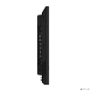 Панель Hisense 65DM66D 65", черный