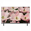 BQ 32F34B Black
