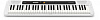 Синтезатор Casio CT-S200WE 61клав. белый