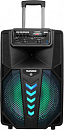 Минисистема Telefunken TF-PS2305 черный 150Вт/FM/USB/BT/SD
