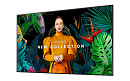 Профессиональный дисплей Samsung [QB75C] 3840х2160,4000:1,350кд/м2,Tizen 7.0