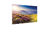 [10600675] Экран Projecta FullVision 281x500 см (226") Matte White 16:9