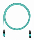 Патч-корд Panduit FZTRL7N7NANM015 PanMPO-PanMPO 15м