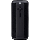 Defender Pulsar 10Вт, Light/BT/TypeC/FM/USB/TF