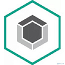 Лицензия для ООО "СК "ЛЕГЕНДА" [KL4863RAMFR-15шт]